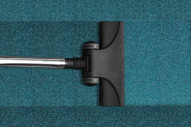 How to Get Rid of Carpet Allergies? Is Your Carpet Honest With You