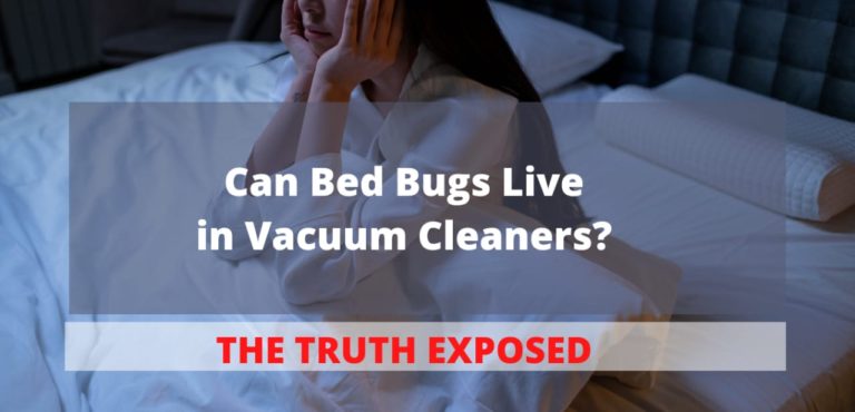 Can Bed Bugs Live in Vacuum Cleaners? The Truth Exposed